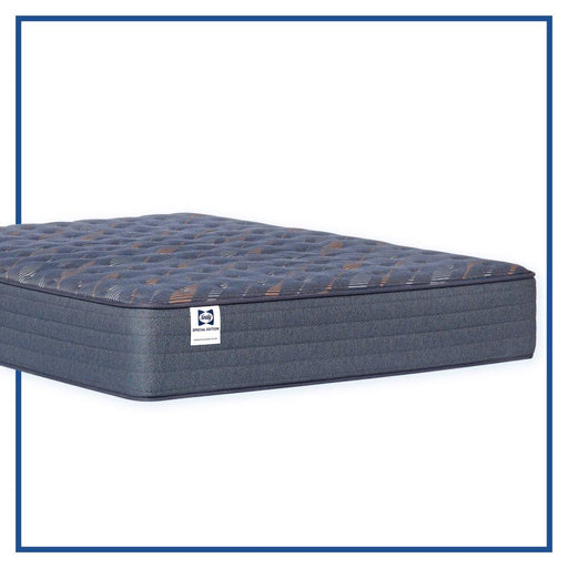 Warner Spring Mattress - Furniture City (CA)l